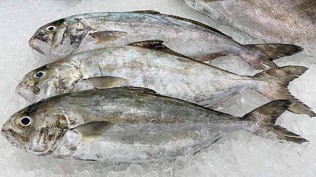 Giá cả và sự phổ biến