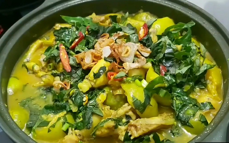 Giới Thiệu Về Cà Đắng