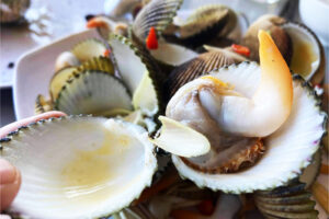 Cách chế biến sò mông